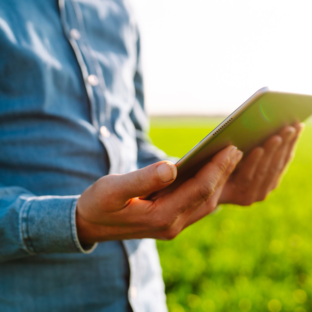 Digital Transformation & Industry