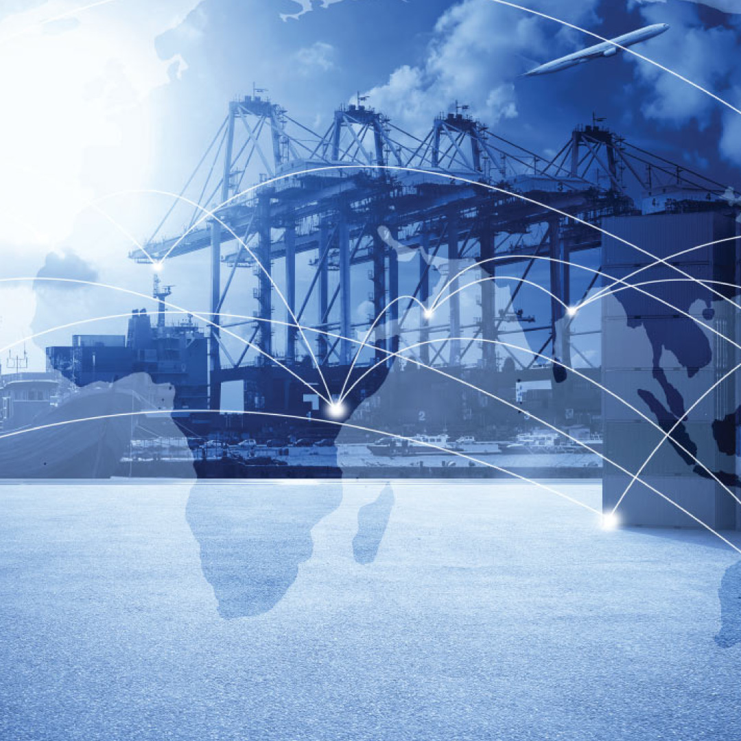 Supply Chain Mapping